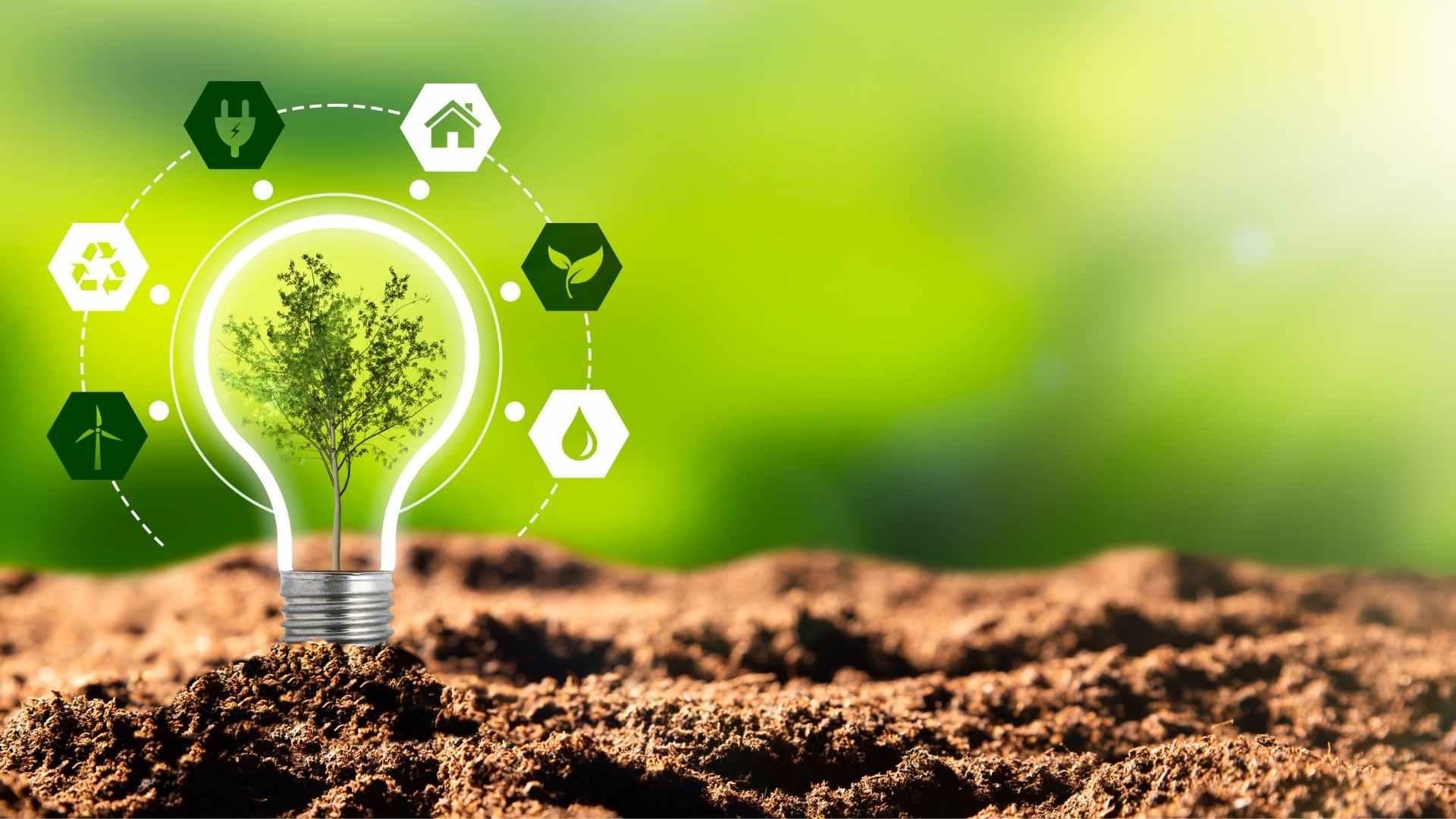 sustainability graphic